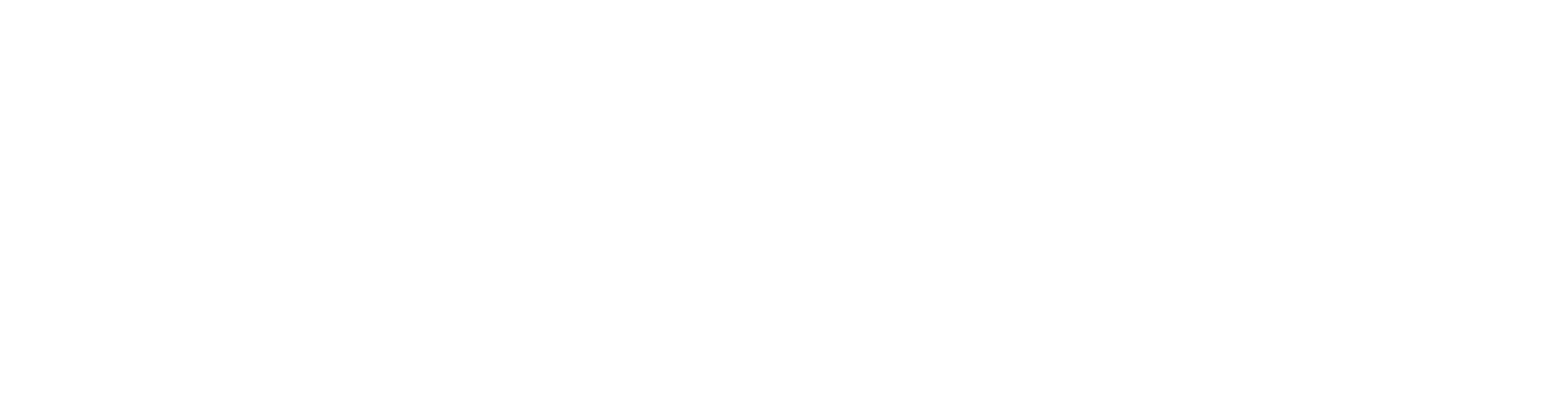 KeizerOn Advies